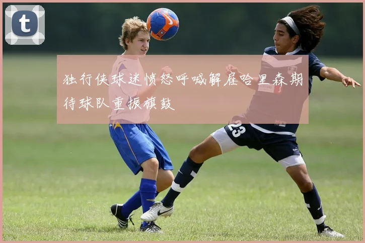 独行侠球迷愤怒呼喊解雇哈里森期待球队重振旗鼓